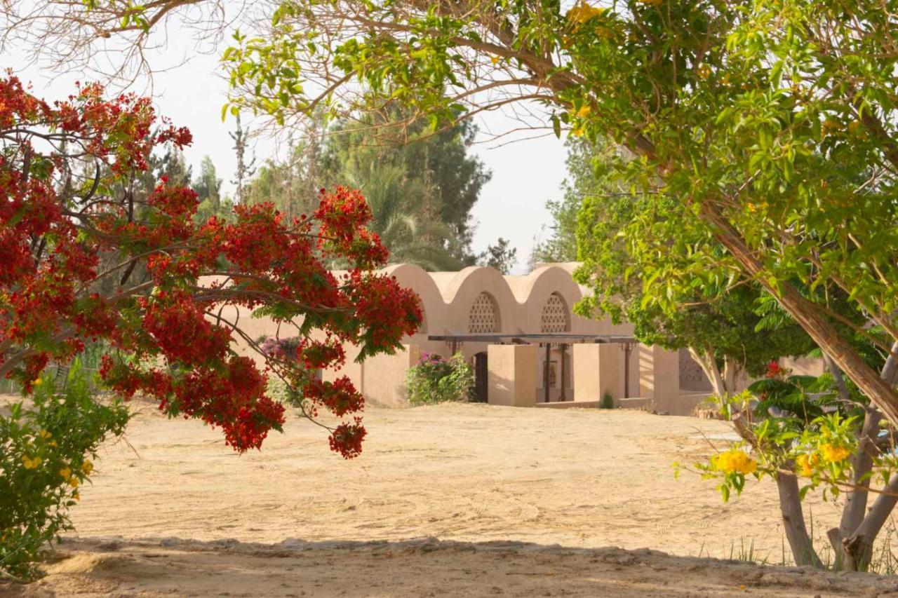 Tzila Bahariya Villa Bahariya Oasis Esterno foto