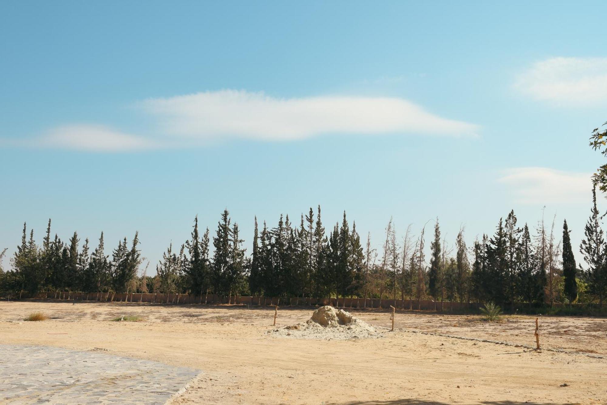 Tzila Bahariya Villa Bahariya Oasis Esterno foto