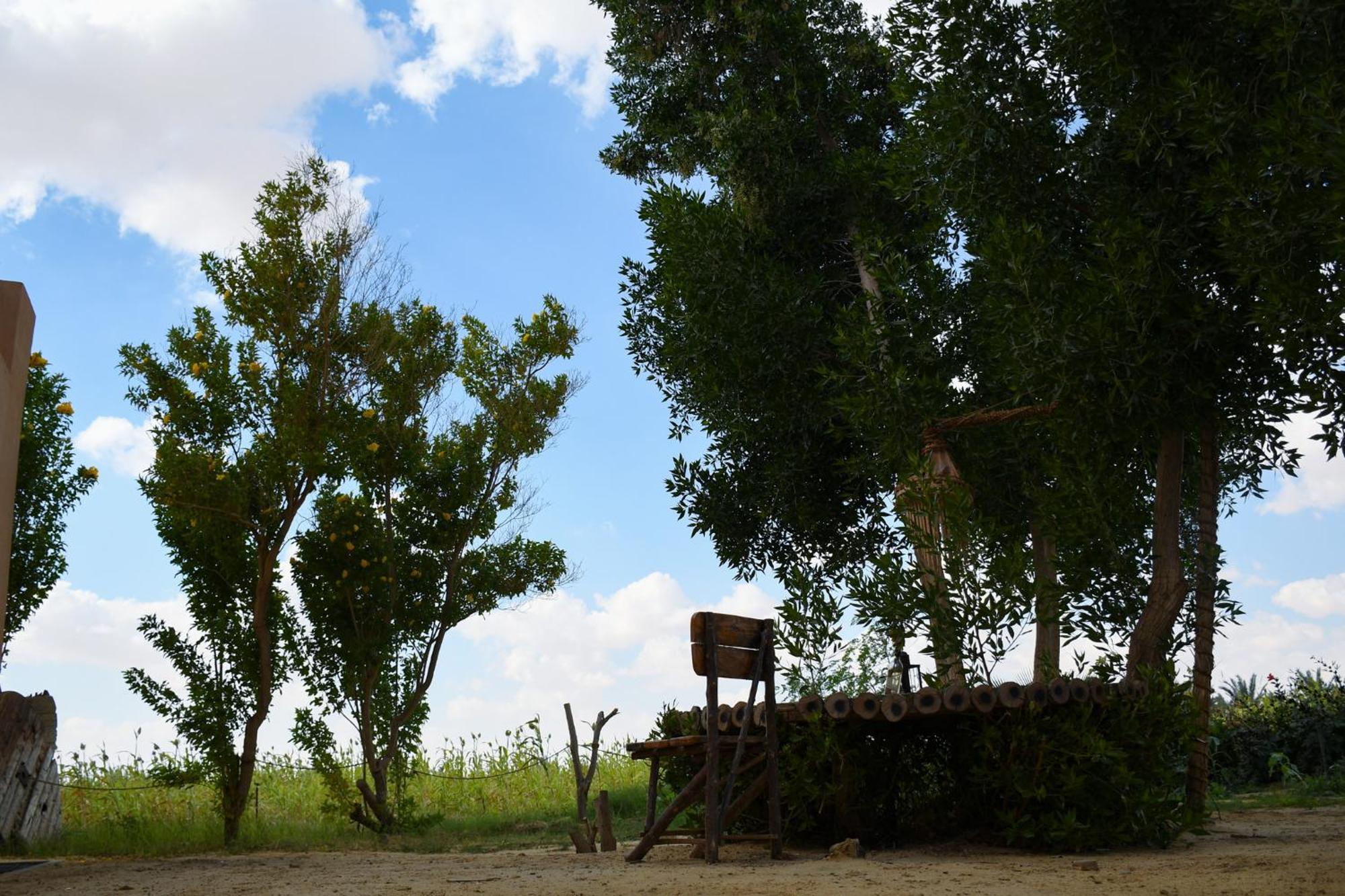 Tzila Bahariya Villa Bahariya Oasis Esterno foto